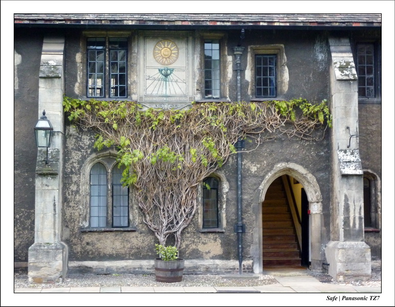 2010 - 11 - Cambridge 27